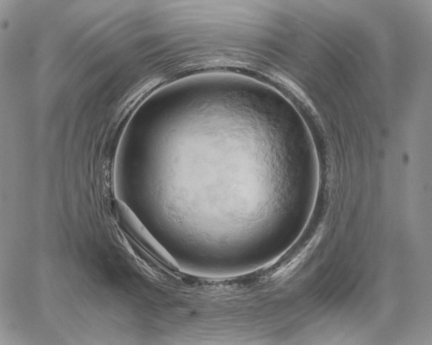 X0000061740793200512091609