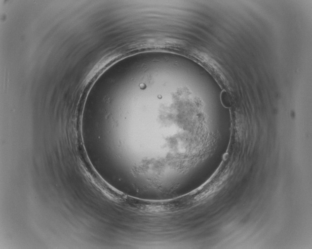 X0000061740794200512091609