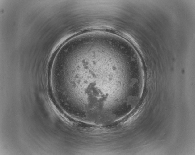 X0000061740795200512091609