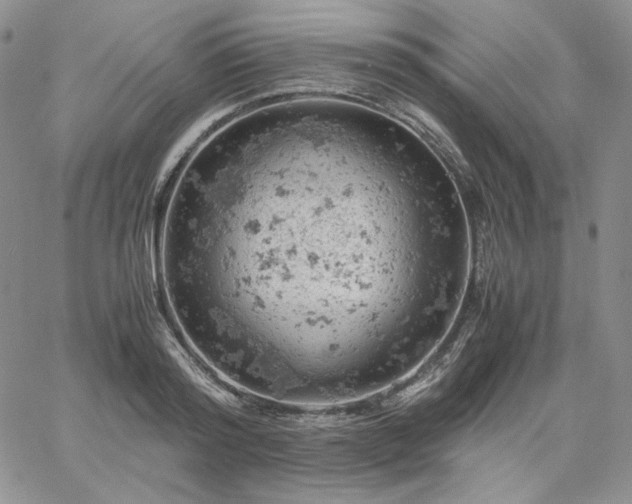 X0000061740796200512091609