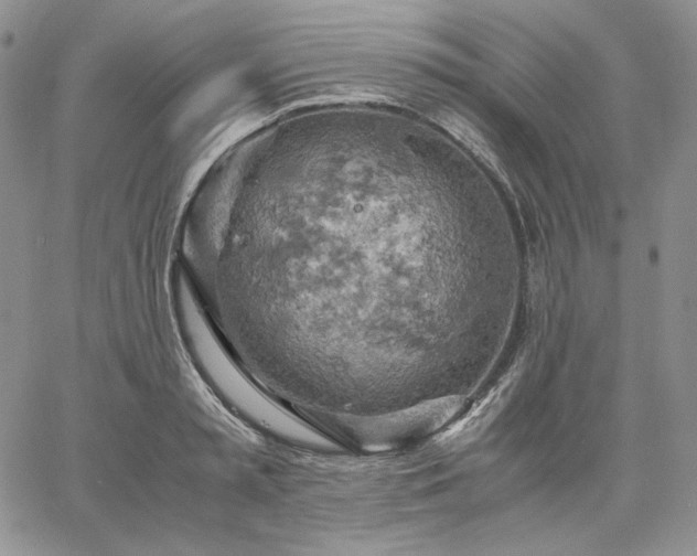 X0000061740797200512091609