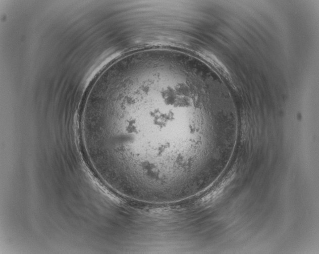 X0000061740798200512091609