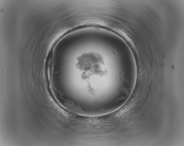 X0000061740799200512091609