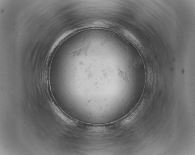 X0000061740800200512091609