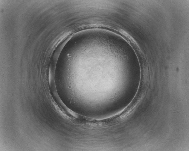 X0000061740801200512091609