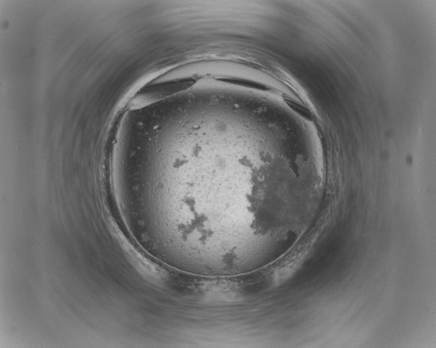 X0000061740803200512091609