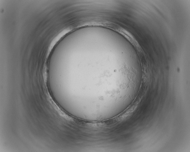 X0000061740804200512091609