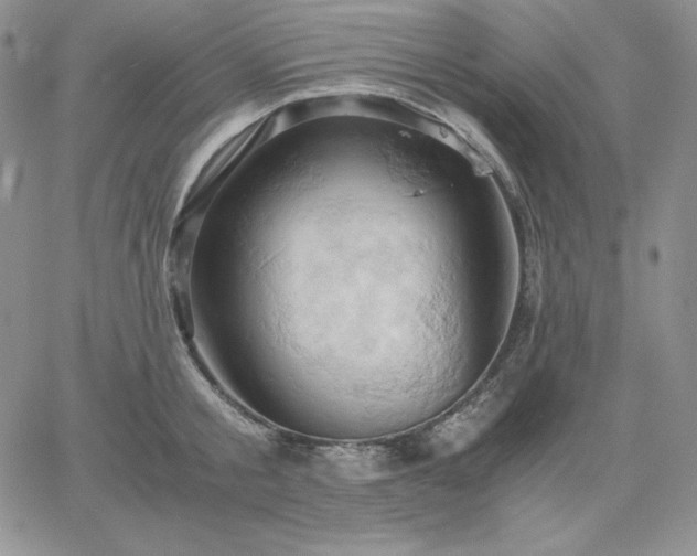 X0000061740805200512091609