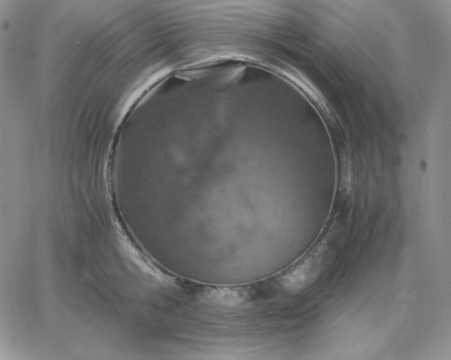 X0000061740806200512091609