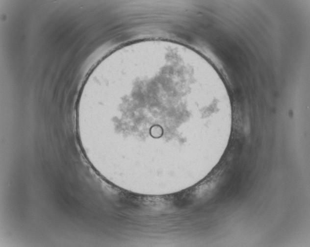 X0000061740807200512091609