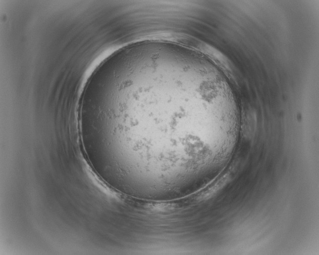 X0000061740808200512091609