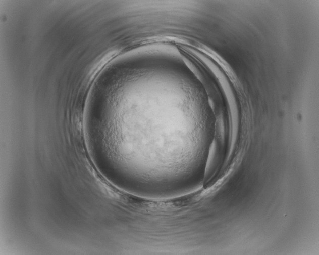 X0000061740809200512091609