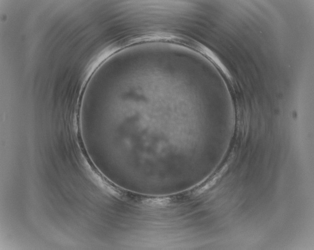 X0000061740810200512091609