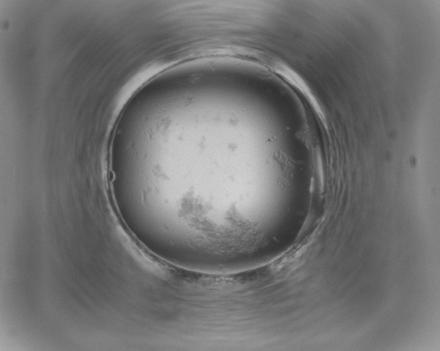 X0000061740811200512091609