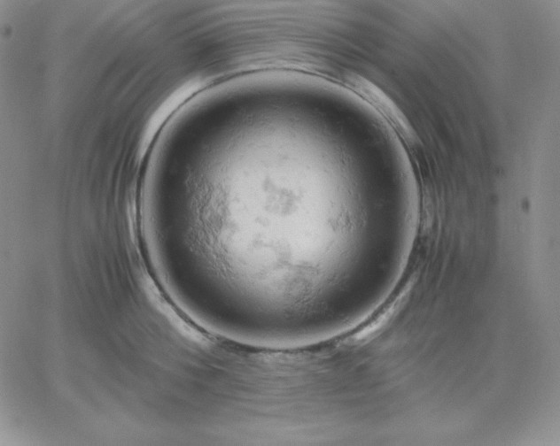 X0000061740812200512091609