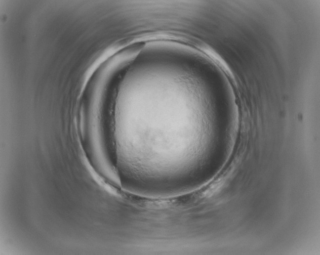 X0000061740813200512091609