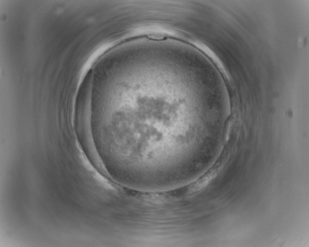 X0000061740815200512091609