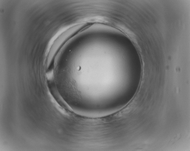 X0000061740816200512091609