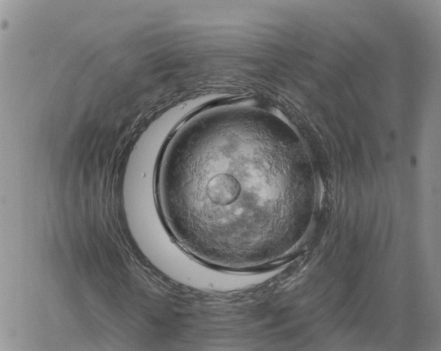 X0000061740818200512091608