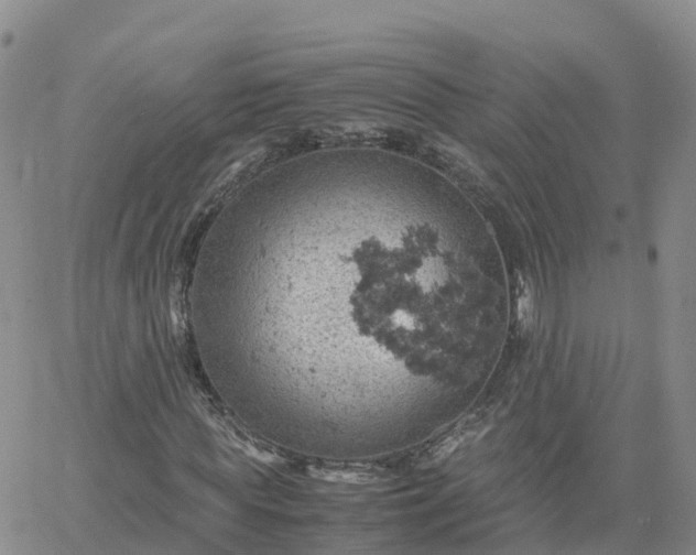 X0000061740819200512091608