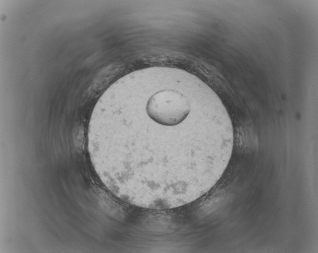 X0000061740820200512091608