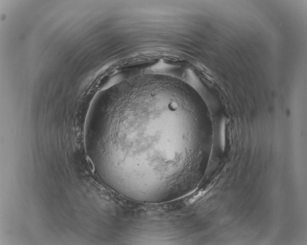 X0000061740822200512091608