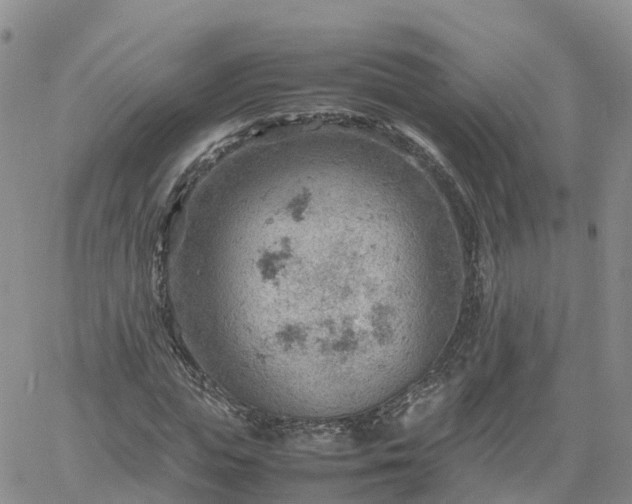 X0000061740823200512091608