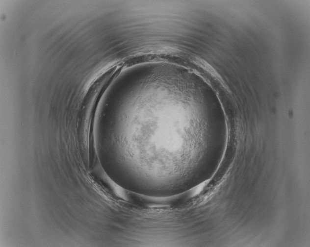 X0000061740826200512091608