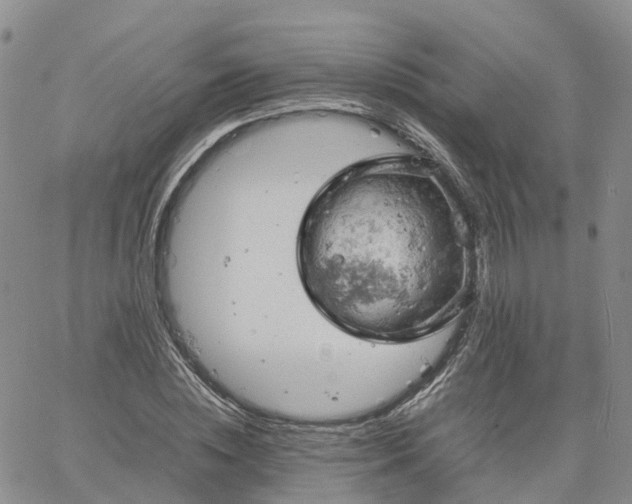 X0000061740828200512091608