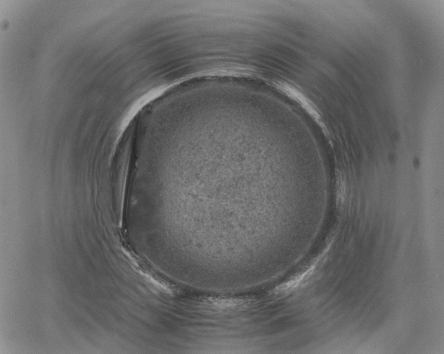 X0000061740829200512091608