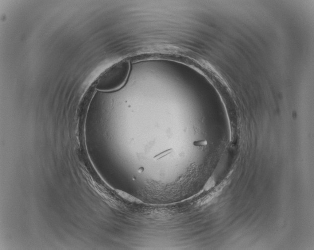 X0000061740830200512091608