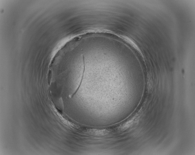 X0000061740831200512091608