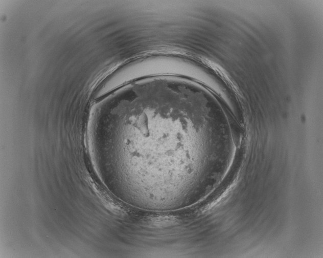 X0000061740833200512091608