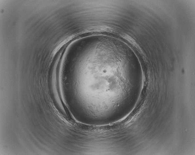 X0000061740834200512091608