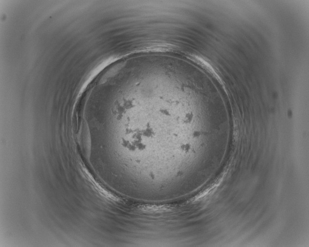 X0000061740835200512091608