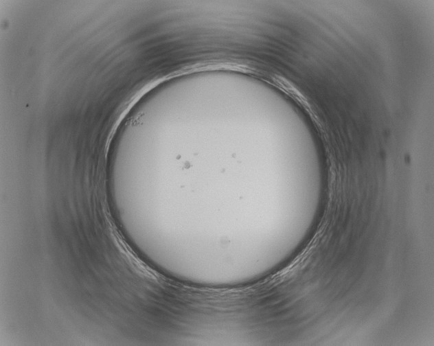 X0000061740836200512091608