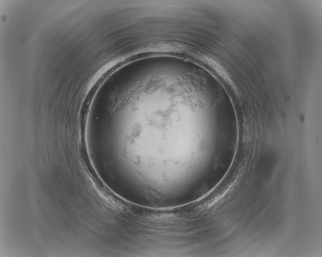 X0000061740837200512091608