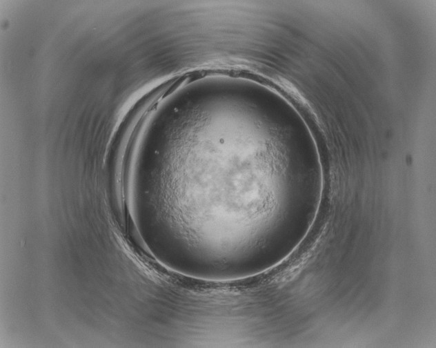 X0000061740838200512091608