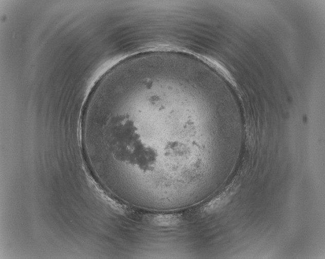 X0000061740839200512091608