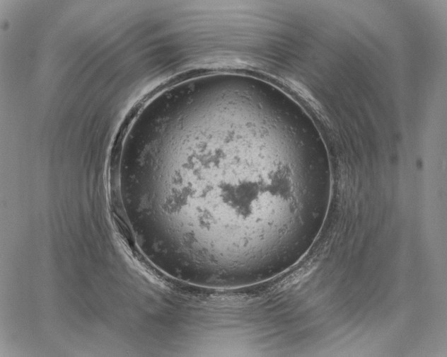 X0000061740840200512091608