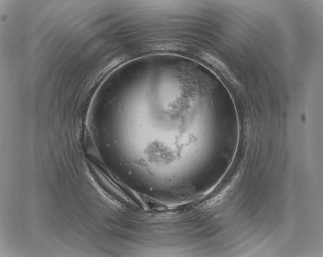 X0000061740841200512091608