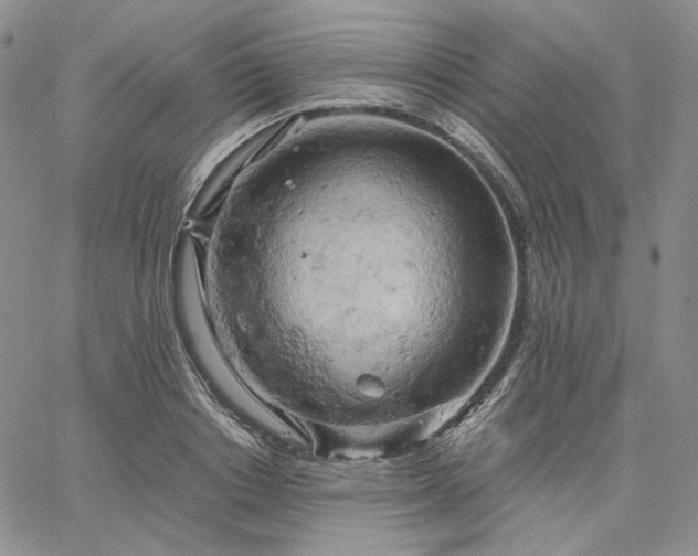 X0000061740842200512091608