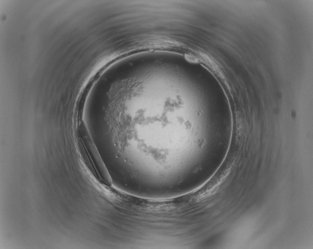 X0000061740843200512091608