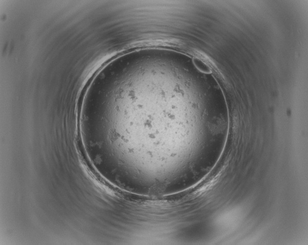 X0000061740844200512091608