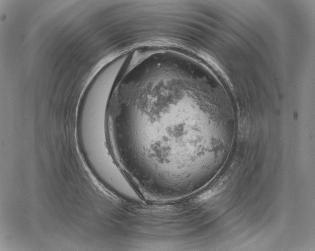 X0000061740845200512091608