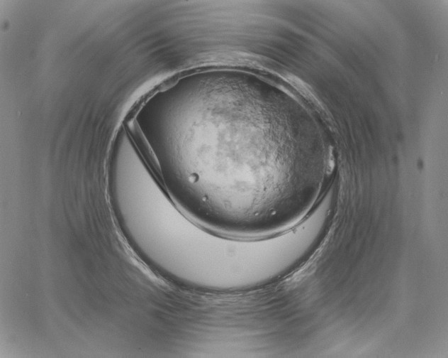 X0000061740846200512091608