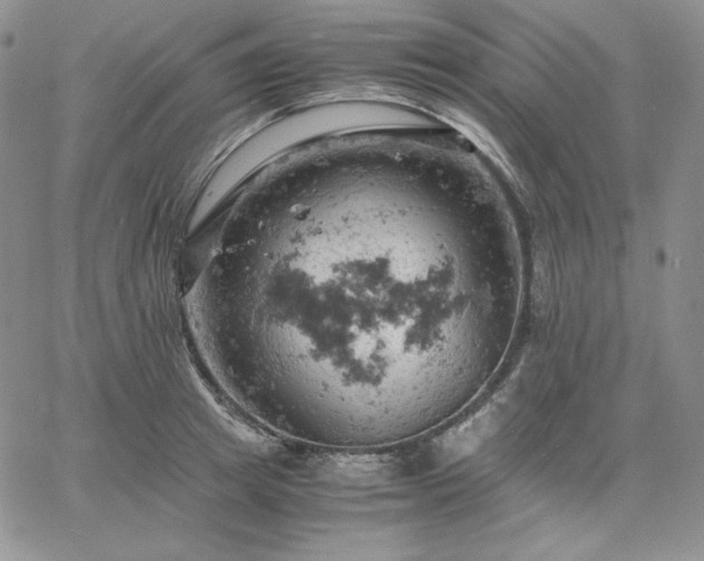 X0000061740849200512091608