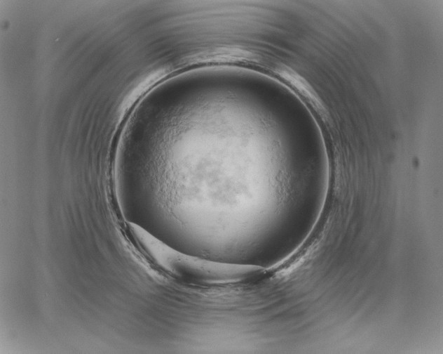 X0000061740850200512091608