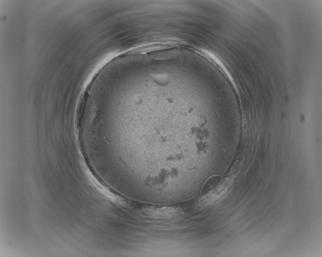 X0000061740851200512091608