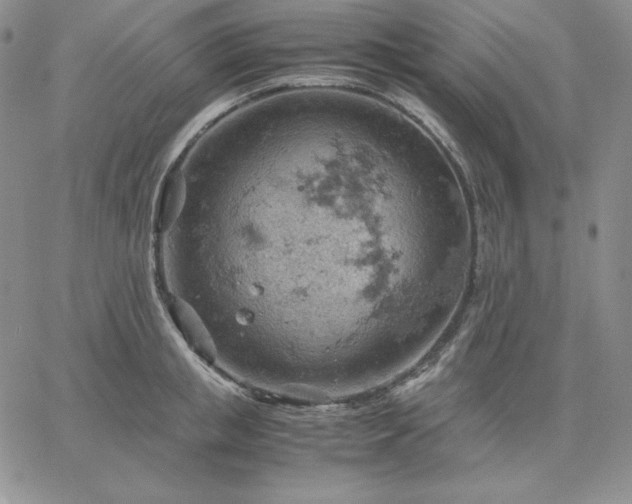 X0000061740853200512091608